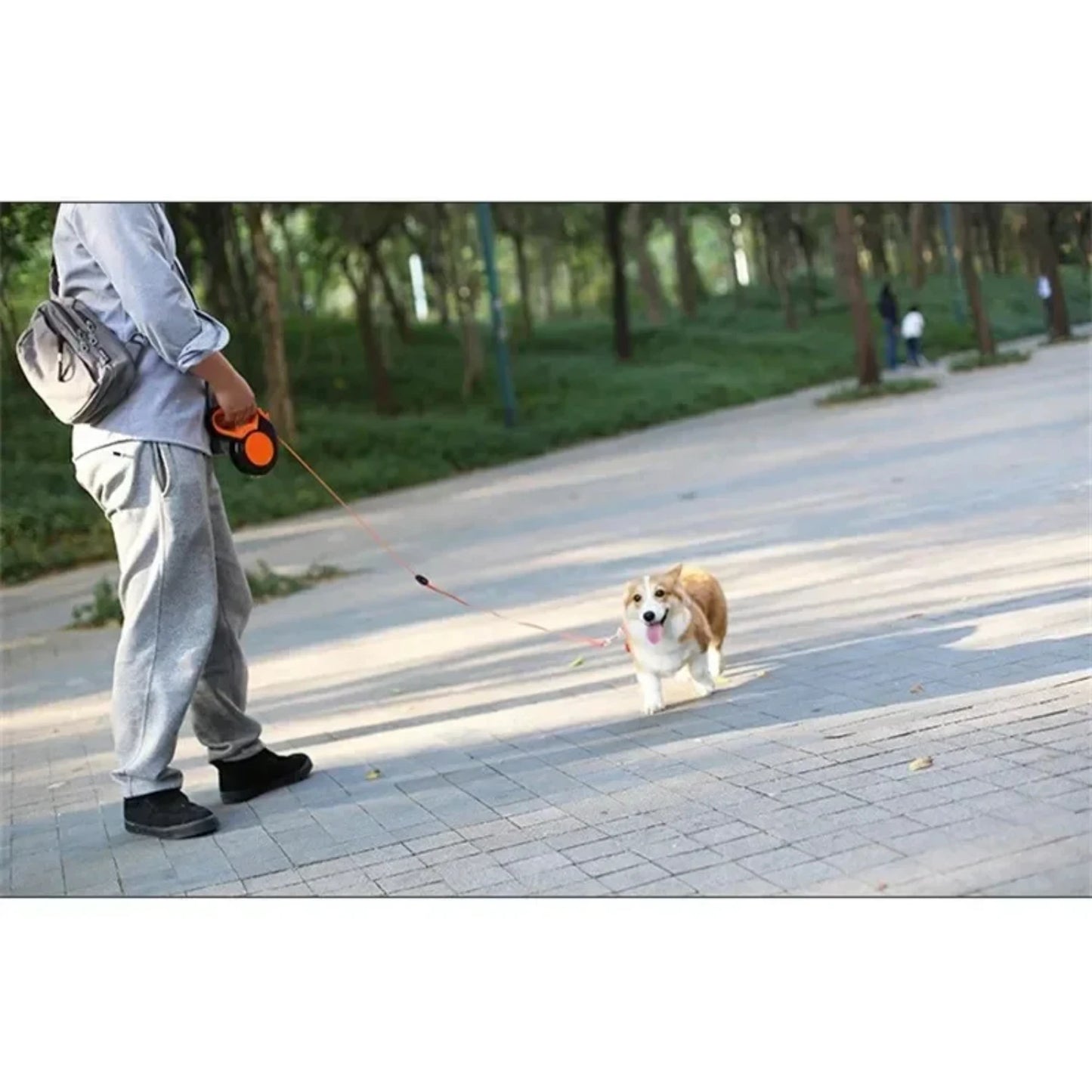 Adjustable Durable 3/5/8m Retractable Dog Leash Roulette Collar for Small Big Dogs - Walking, Hiking, Bulldog Accessories